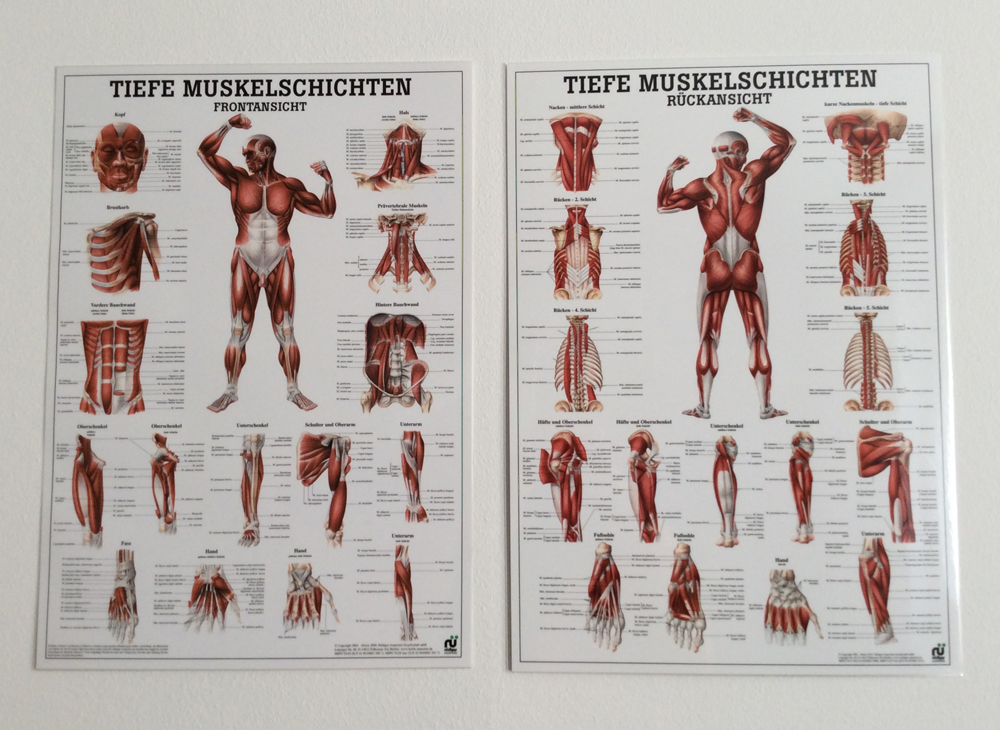 Konzept Tafeln mit Muskelaufbau